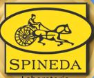 SPINEDA